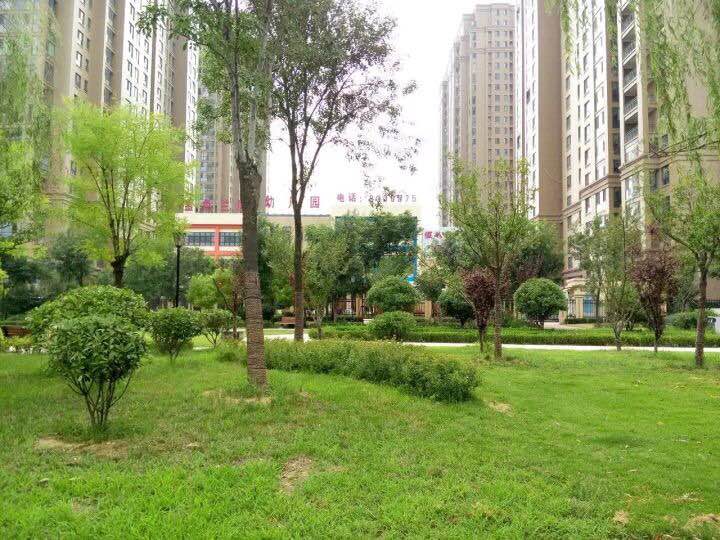 濟寧華都&middot;金色蘭庭獲評 &ldquo;省級園林綠化示范小區&rdquo;稱號