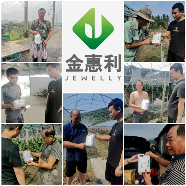 寧波金惠利為臺風受災地區(qū)&ldquo;農(nóng)友會&rdquo;成員送溫暖