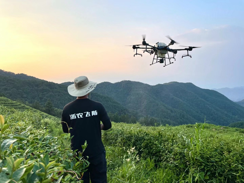 浙農(nóng)現(xiàn)代農(nóng)業(yè)公司下屬兩家單位入選&ldquo;浙江農(nóng)機(jī)社會化服務(wù)50例&rdquo;