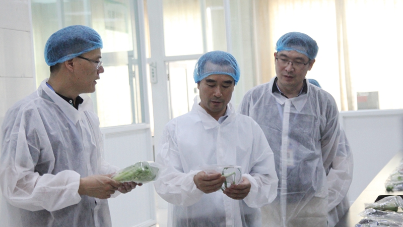 紹興市教育局、市場(chǎng)監(jiān)管局領(lǐng)導(dǎo)赴浙農(nóng)茂陽督查食品安全工作