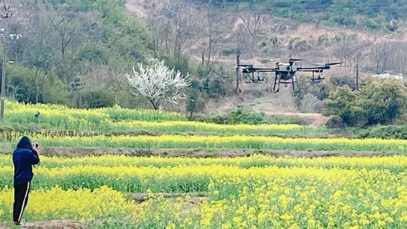 浙農金泰、浙農飛防合作項目榮獲寧波市農業實用技術推廣獎一等獎