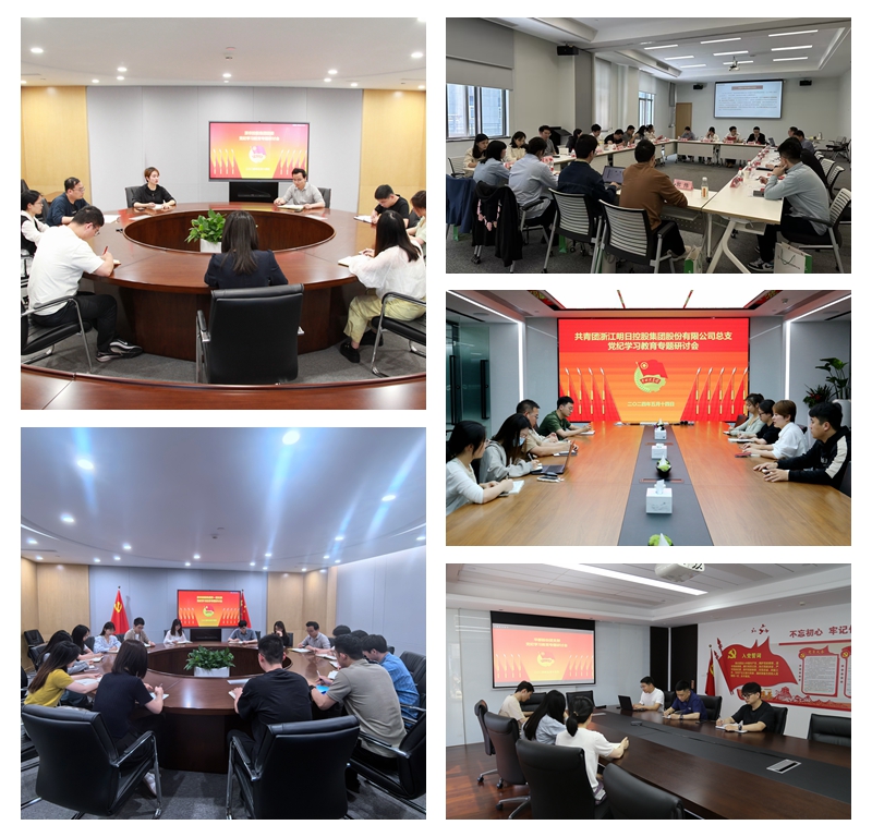 學黨紀&middot;揚&ldquo;青&rdquo;風丨集團組織團員青年開展專題學習活動