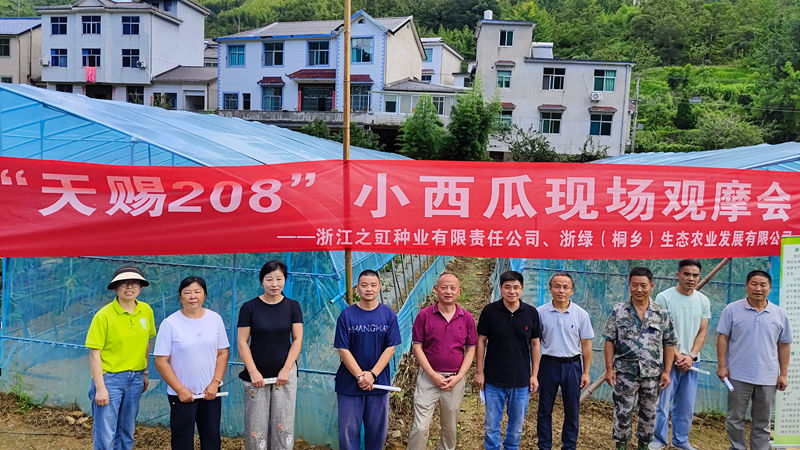 之豇種業&ldquo;天賜208&rdquo;小西瓜高山試種成功 助力山區特色農業發展